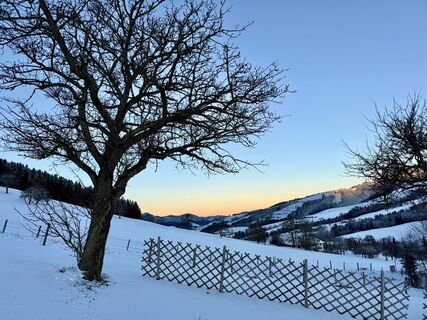 Nackter Kalbling / Schabenreitnerstein im Winter