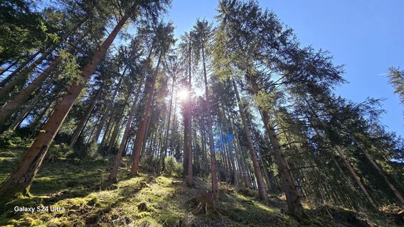 Foto von Edit Szoboszlay entlang der Tour