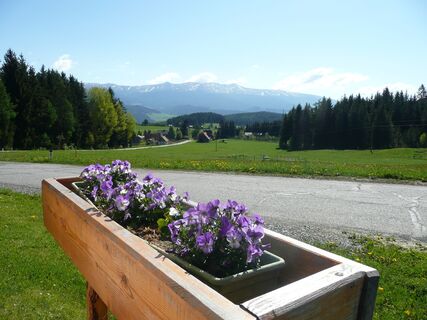 Blumenschmuck und in der Ferne der Zirbitzkogel