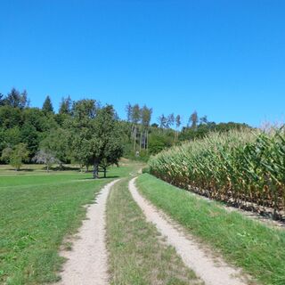 Feldweg