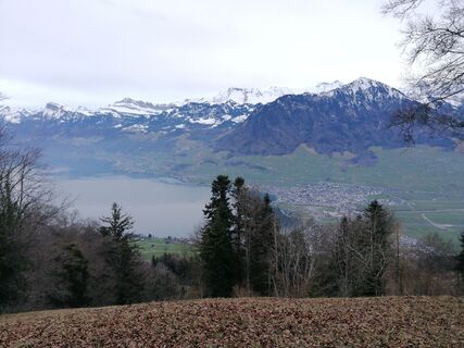 Fotografie de la luyyy de-a lungul turului