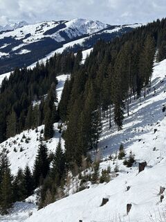 Foto von Tom Borggreve entlang der Tour