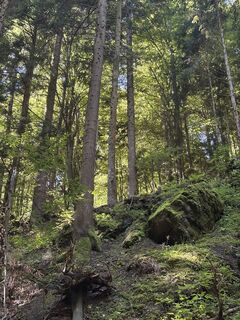 Fotografija s spletne strani Reinhard Frewein na poti