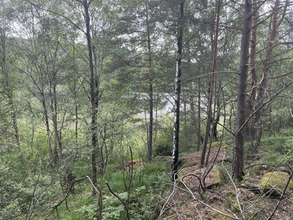 Foto von Charlotte Wigbratt entlang der Tour