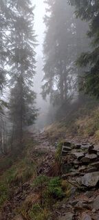 Foto de Sylwiasuchy76 a lo largo del recorrido