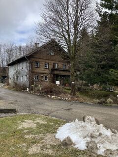 Photo de Daniel Vogel le long du parcours