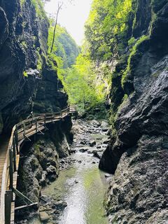 Foto von Michael Bauer entlang der Tour