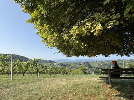 Fotografia z Georg Habermann na trase