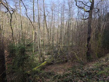 Fotografie z Björn Heun na trase