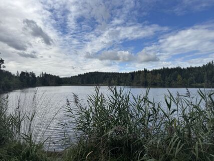 Foto da Denise Miller lungo il tour