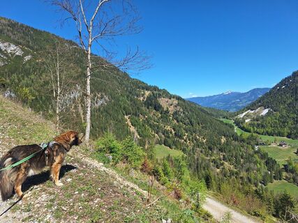 Foto von susanne groegor entlang der Tour