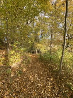 Photo de Biernase1 le long du parcours
