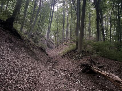 Fotografia z Reti Alicia na trase