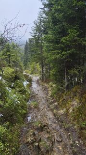 Photo de Andreas Wagner 12 le long du parcours
