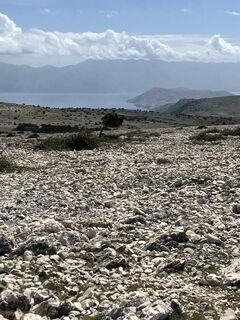 Photo de Daniel Vogel le long du parcours