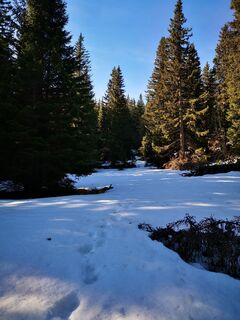 Photo de ChasquiRunner le long du parcours
