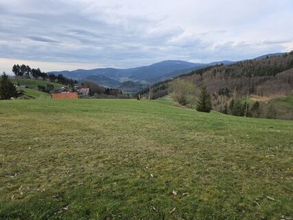 Fotografia z W B MA na trase