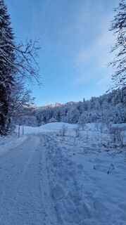 Foto von Kirchstieglerin entlang der Tour