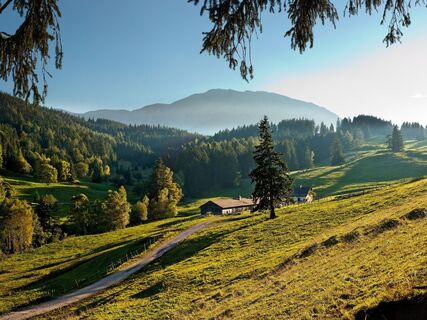 Schoberalm