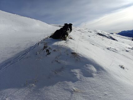 Fotografie de la Luca Sangiorgio de-a lungul turului