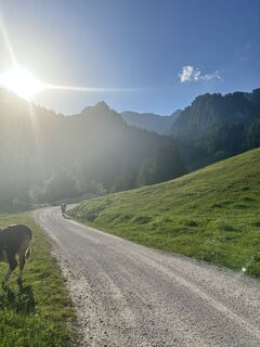 Foto de maierstefe a lo largo del recorrido