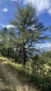 Foto von peter_oe entlang der Tour