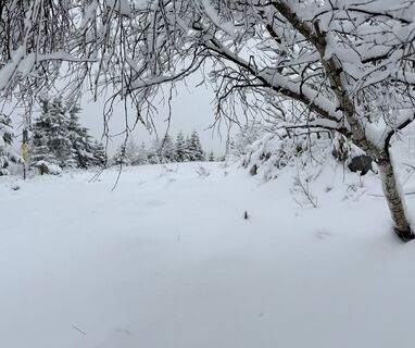 Photo de Dani Geiger / Natur_erleben_dg le long du parcours