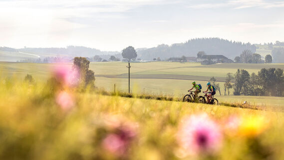 Biken im Granitland Mühlviertel