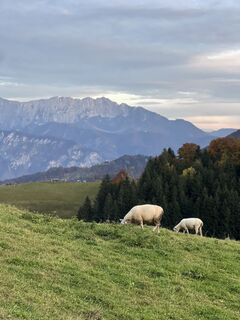 Photo de Franzi Niedermaier le long du parcours