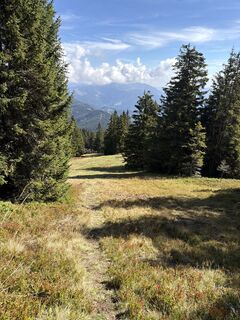 Foto von Flo entlang der Tour