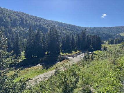 Foto von Ingeborg Steindl entlang der Tour