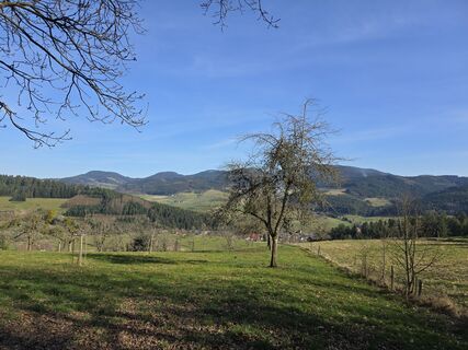Foto von Michel Kennel entlang der Tour