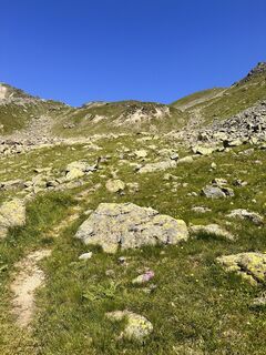 Foto von Maximilian Schranz entlang der Tour