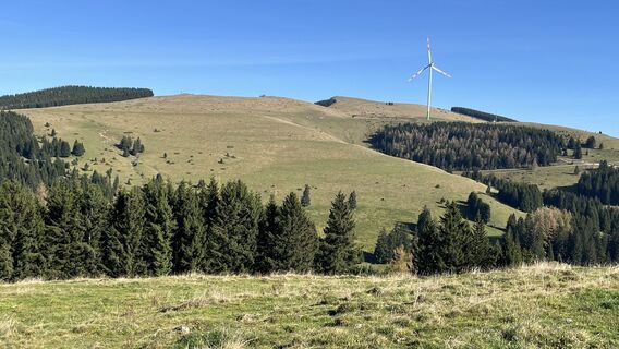 Photo from Yeti am Berg along the tour