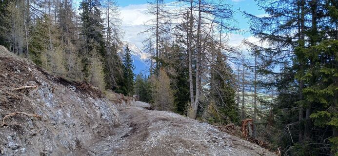 Foto da Markus Pfausler lungo il tour