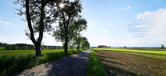 Fotografija s spletne strani Klaus Lehner na poti