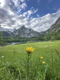 Foto van Dani Geiger / Natur_erleben_dg langs de tour