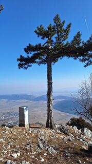 Photo de Aga M le long du parcours