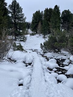 Foto von Willi Schüller entlang der Tour