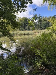 Foto von Denise Miller entlang der Tour