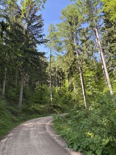 Fotografia z Heinz Sperl na trase