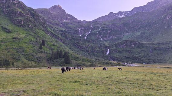 Foto von Horst Freinhofer entlang der Tour
