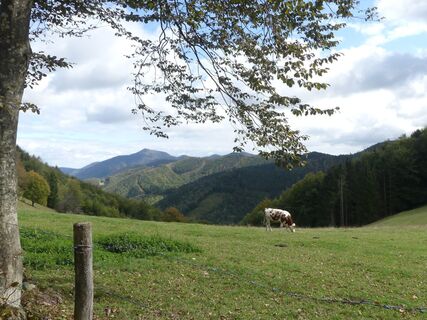 Foto von Karin Steindl entlang der Tour