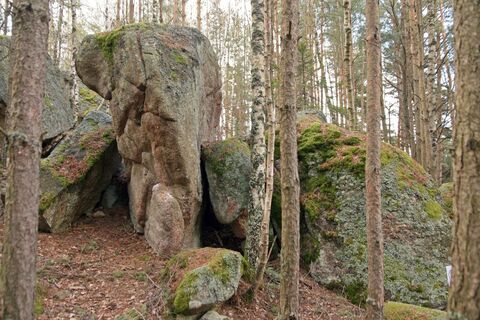Kamelstein