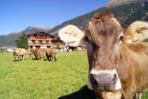 Appartements Dismas'n Hof