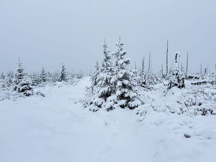 Photo de Dani Geiger / Natur_erleben_dg le long du parcours