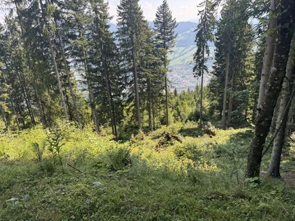 Foto von Kristoffer Nielsen entlang der Tour
