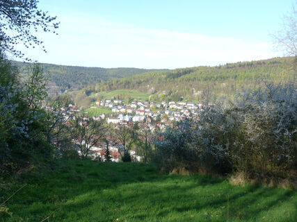 Freier Blick auf Bad Orb von der Bocksberg-Kapelle
