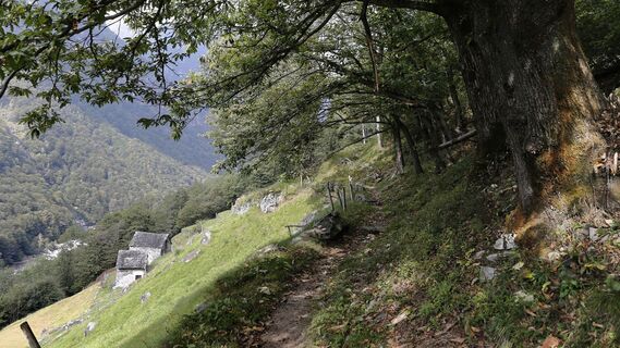Ethnografischer Weg Revöira