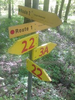 wohin jetzt?